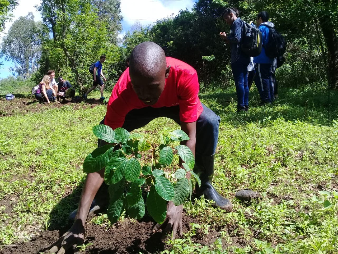 Community climate action