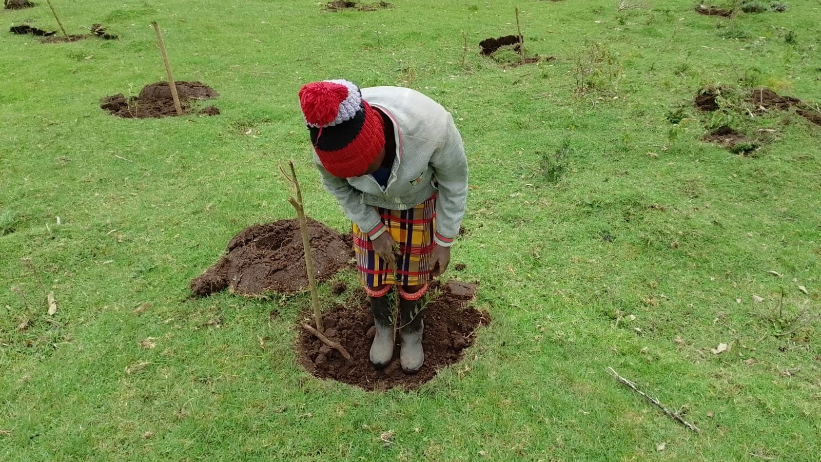 A community member planting a seedling