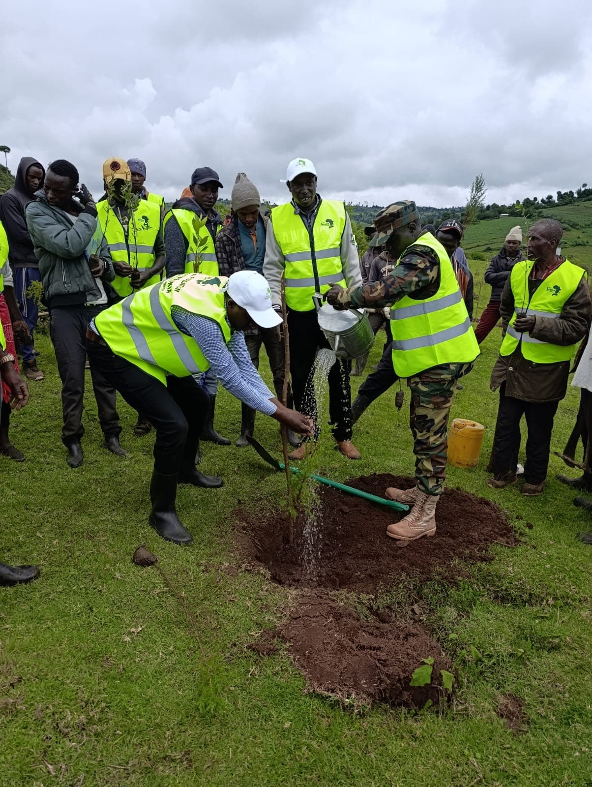 People watering a newly planted tree during a community restoration day