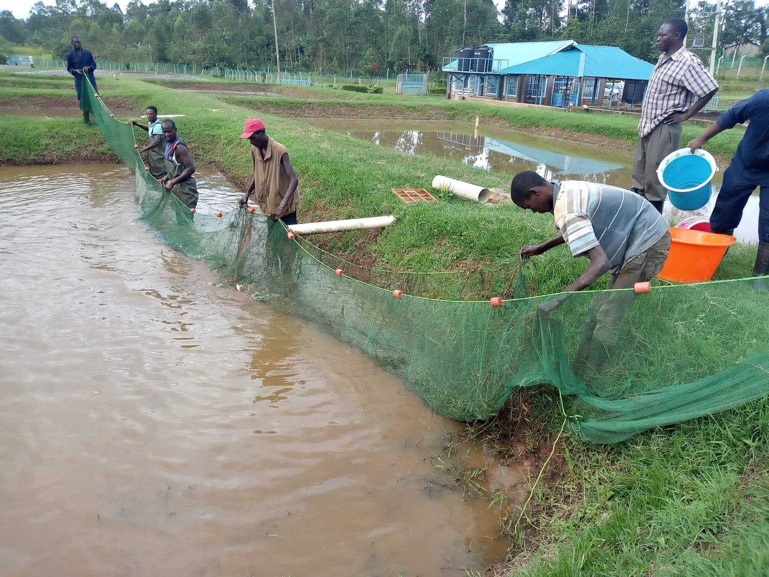 Fish farming